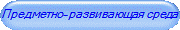 Предметно-развивающая среда